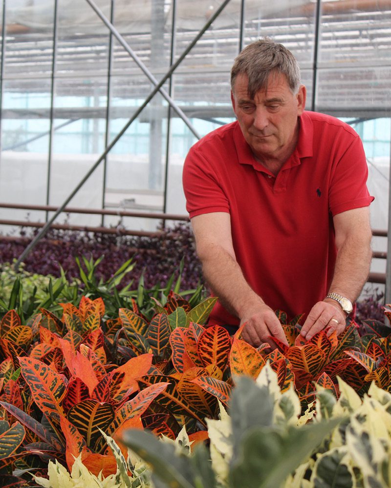 section-images-800x10002