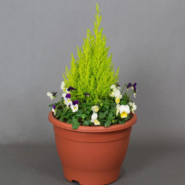 Bell Pot Planter